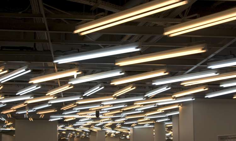 Nicolas Dahan, Department Store